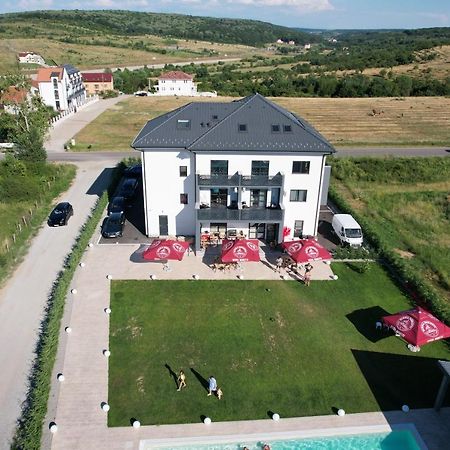 Pensiunea Harmony Băile Felix Exterior foto